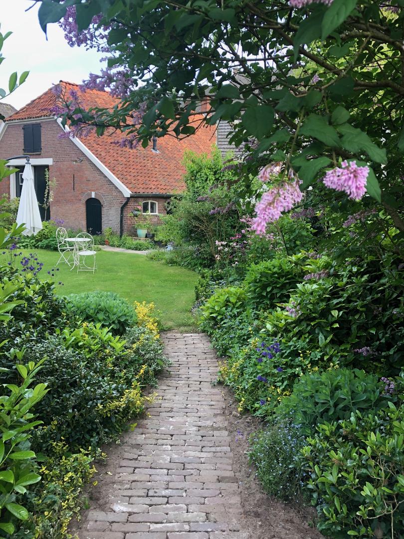 tuin
